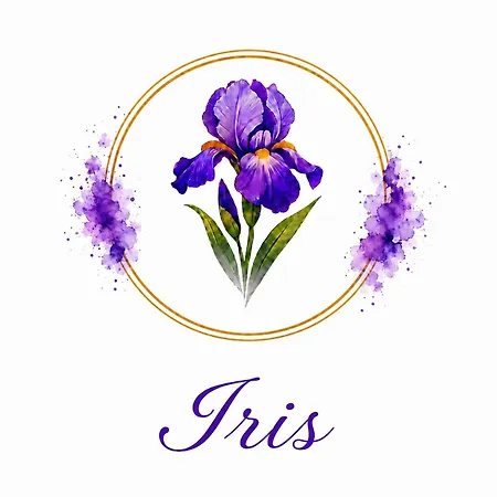 Casa Iris 3* Omegna